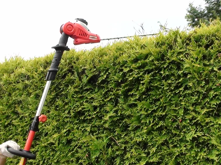 Lubrificazione e rimessaggio: come riporre il tagliasiepi fino a primavera