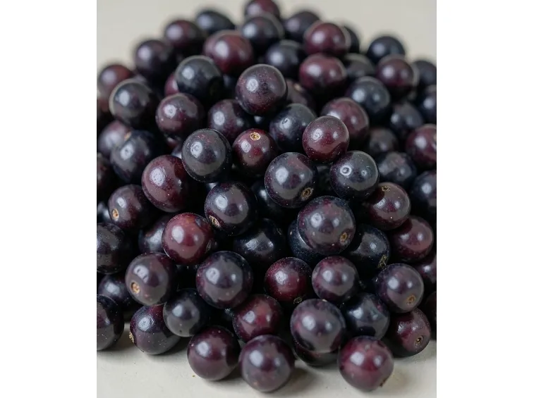 frutti acai