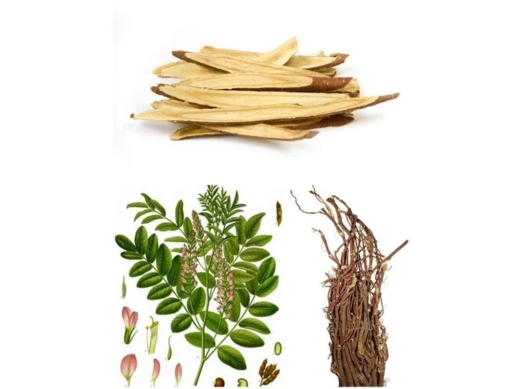 Tra gli ingredienti della tisana Kelemata ci sono la senna e la liquirizia.