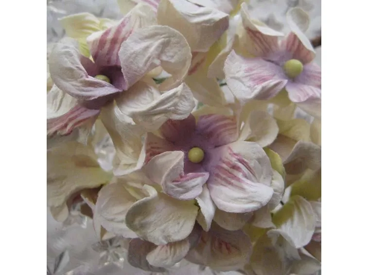 fiori di carta