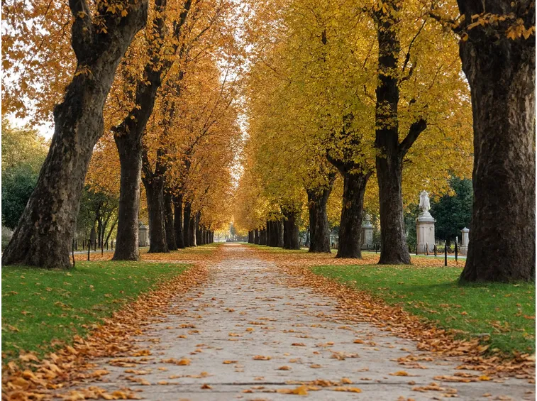 Dal Veneto al Lazio: Sigurtà, Vallombrosa e i giardini storici del Centro