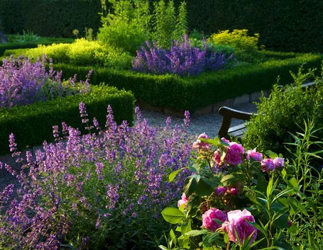 giardino fiorito