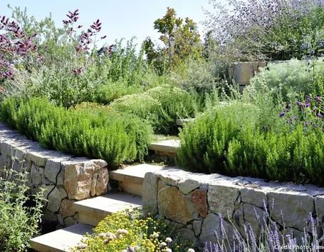 giardini a terrazze