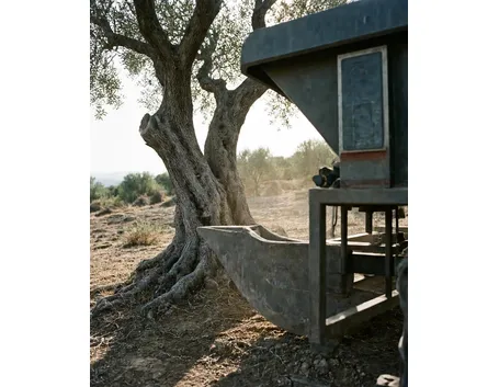 Ulivo