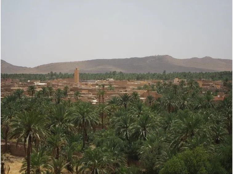 La Chamaerops humilis