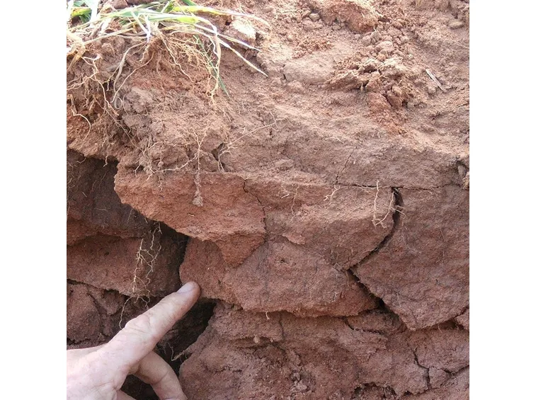 Terreno argilloso