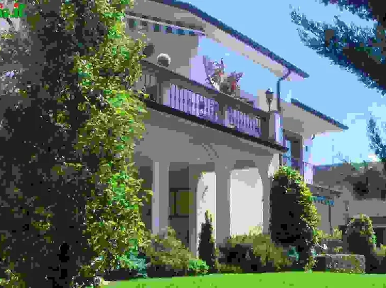 Scelta delle bulbose